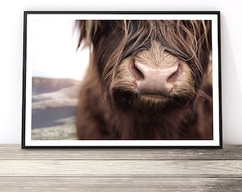 Highland Cow Art, Photography Print, Animal Prints, Trending Now, Highland Cow Print, Animal Art Print, Boho Wall Art, Large Wall Art