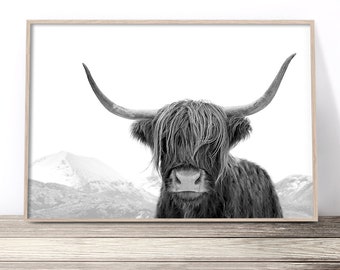 Black and White Highland Cow Print | Photography Print | Cow Wall Art | Black and White Print | Modern Farmhouse Decor | Cow Poster Artwork