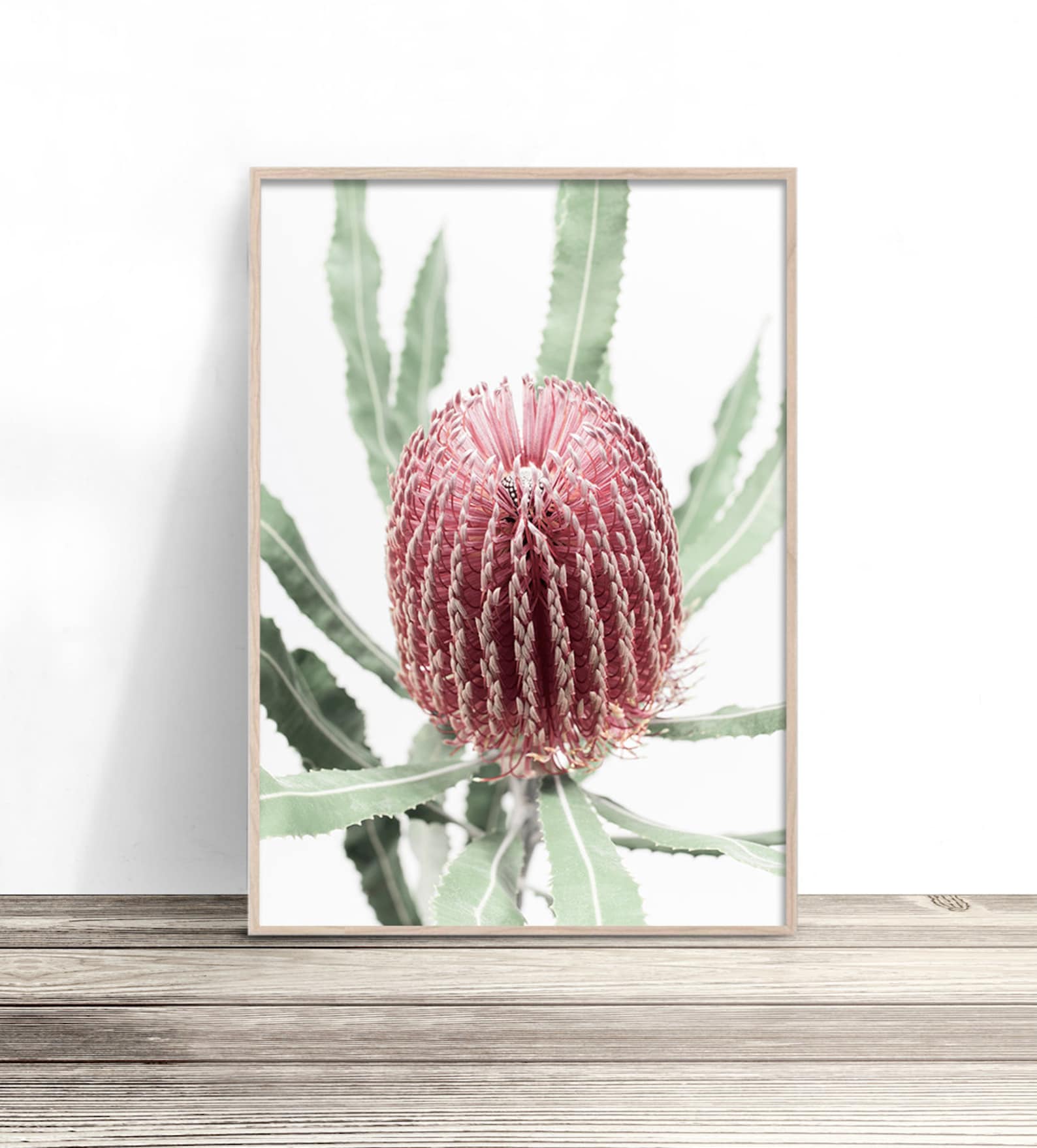 Banksia Print Australian Native Flower Wall Art Modern Etsy Australia
