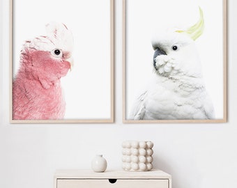 May include: Two framed wall art prints featuring portraits of cockatoos. The left print shows a pink and white Galah cockatoo in profile, while the right print displays a white cockatoo with a yellow crest, both set against a plain white background.