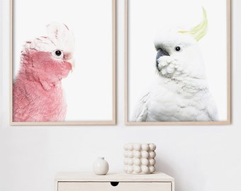 Set of 2 Australian Prints, Galah Print, White Cockatoo Wall Art, Native Australian Bird Print, Australiana Decor, Pink Parrot Photography