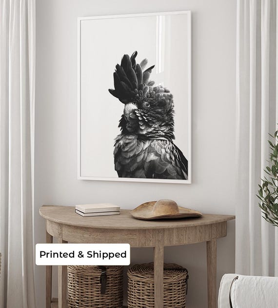 Black Cockatoo Print | Australian Bird Wall Art | Black and White Photography | Native Australian Decor | Australian Wildlife Art