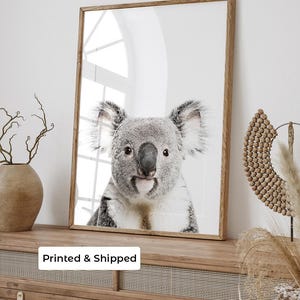 Koala Print | Australian Animal Wall Art | Koala Photography Print | Native Australian Wildlife Art | Australiana Decor