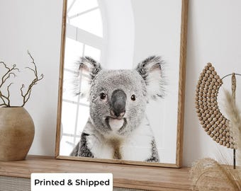 Koala Print | Australian Animal Wall Art | Koala Photography Print | Native Australian Wildlife Art | Australiana Decor