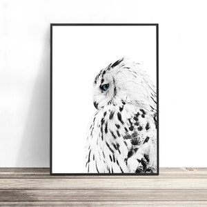 White Owl Print, Scandinavian Print, Owl Gifts, Black and White Print, Scandinavian Decor, Owl Wall Art, Bird Photography Print, Owl Decor