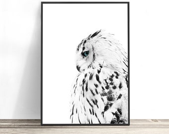 White Owl Print, Scandinavian Print, Owl Gifts, Black and White Print, Scandinavian Decor, Owl Wall Art, Bird Photography Print, Owl Decor
