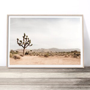 joshua tree desert wall art print