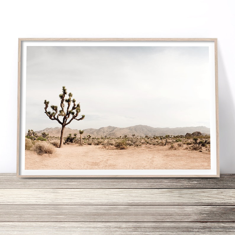joshua tree desert wall art print