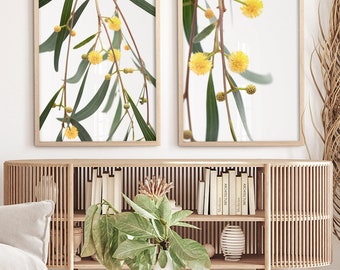 Set of 2 Wattle Australian Floral Wall Art Prints | Australian Native Flower Photography Artwork | Modern Australiana Botanical Poster