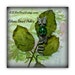 Owner of <a href='https://www.etsy.com/shop/420ForYou?ref=l2-about-shopname&from_page=listing' class='wt-text-link'>420ForYou</a>