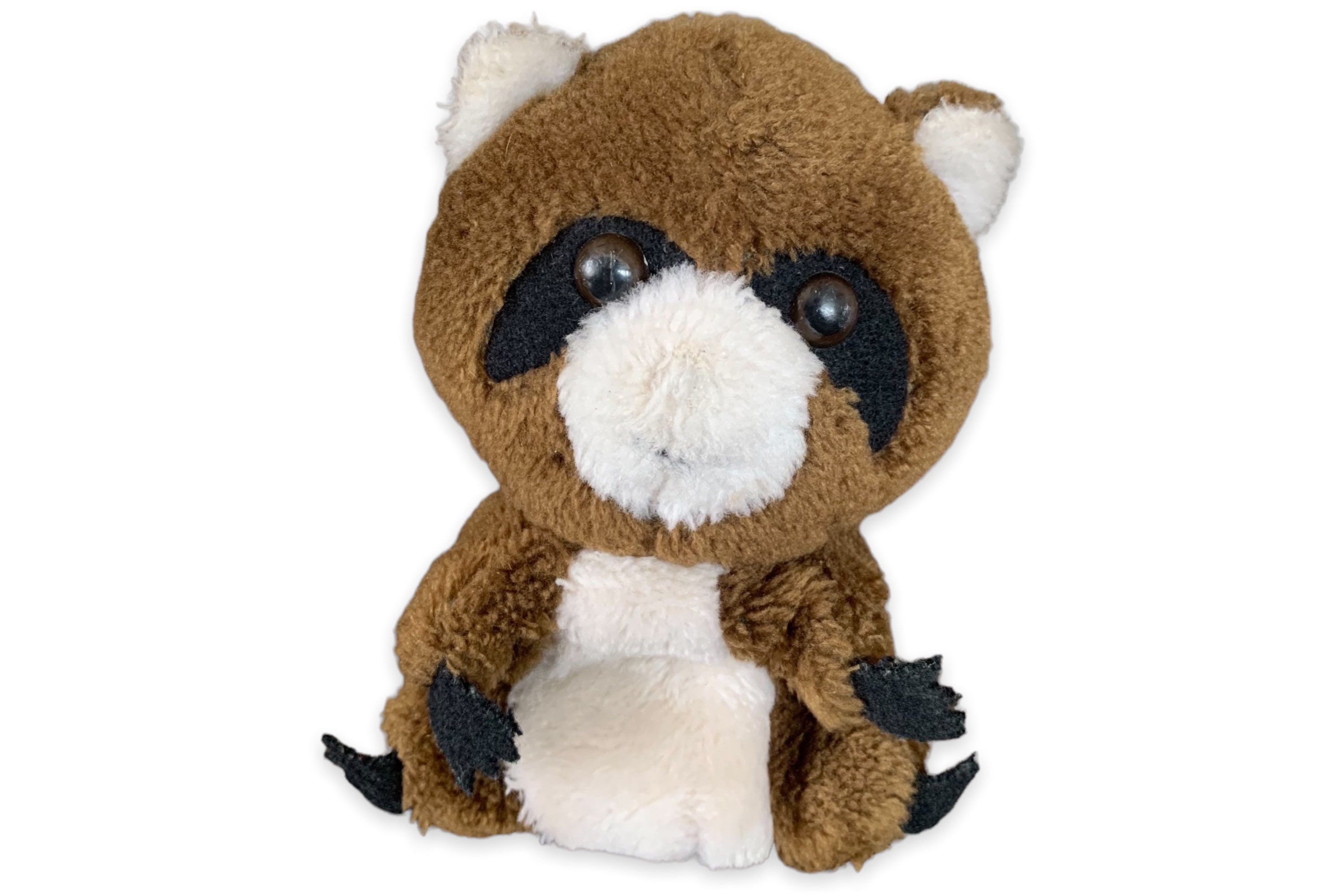 dakin raccoon