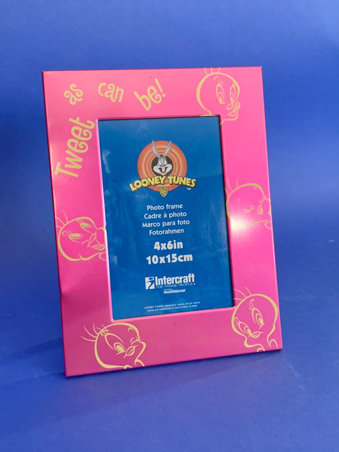 Y2K Tweet as Can Be Looney Tunes Tweety Bird Picture Frame Etsy