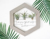 Air Plant Holder Wire Wood Love Grows Here Sign Boho Bedroom Wall Decor Air Plant Display Bridesmaid Gift Unique Air Planter