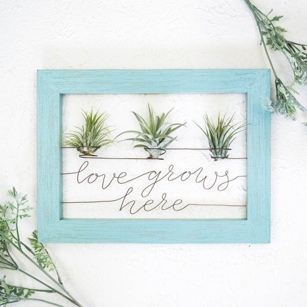Love Grows Here Sign | Air Plant Holders For Wall | Farmhouse Kitchen Decor | Air Plant Frame | Farmhouse Kitchen | Plant Lover Gift