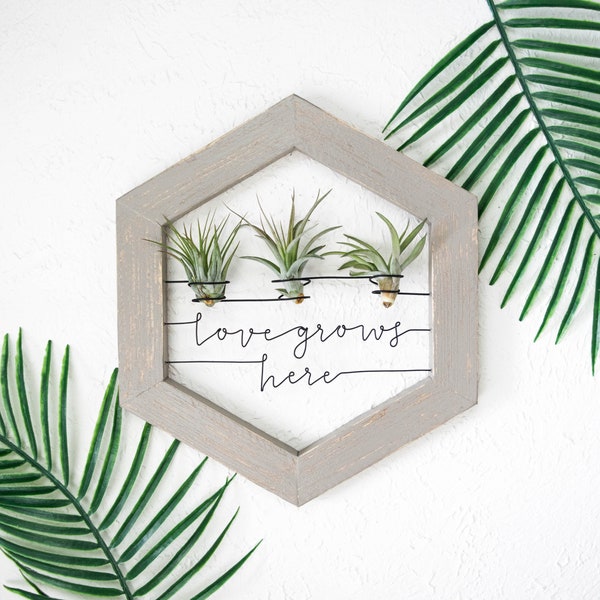 Air Plant Holder | Love Grows Here Sign | Industrial Farmhouse Wall Decor | Air Plant Display Frame | Hexagon Planter | Plant Lovers Gift