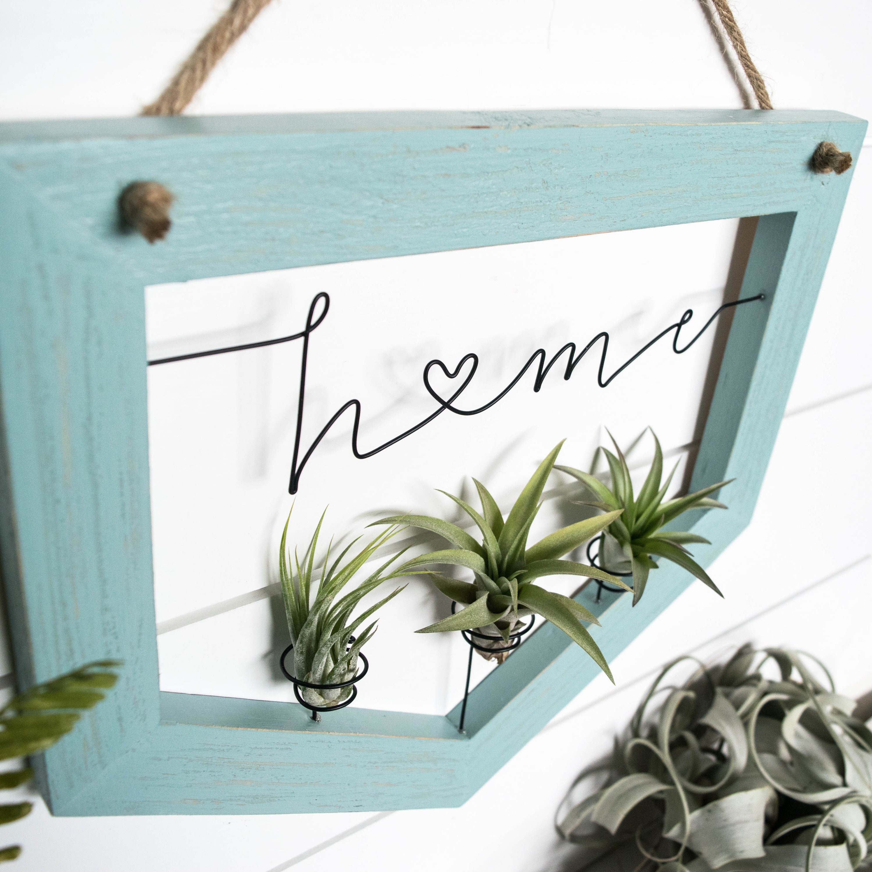 Wall Mounted Air Plant Holders Wire Writing Art Framed Etsy
