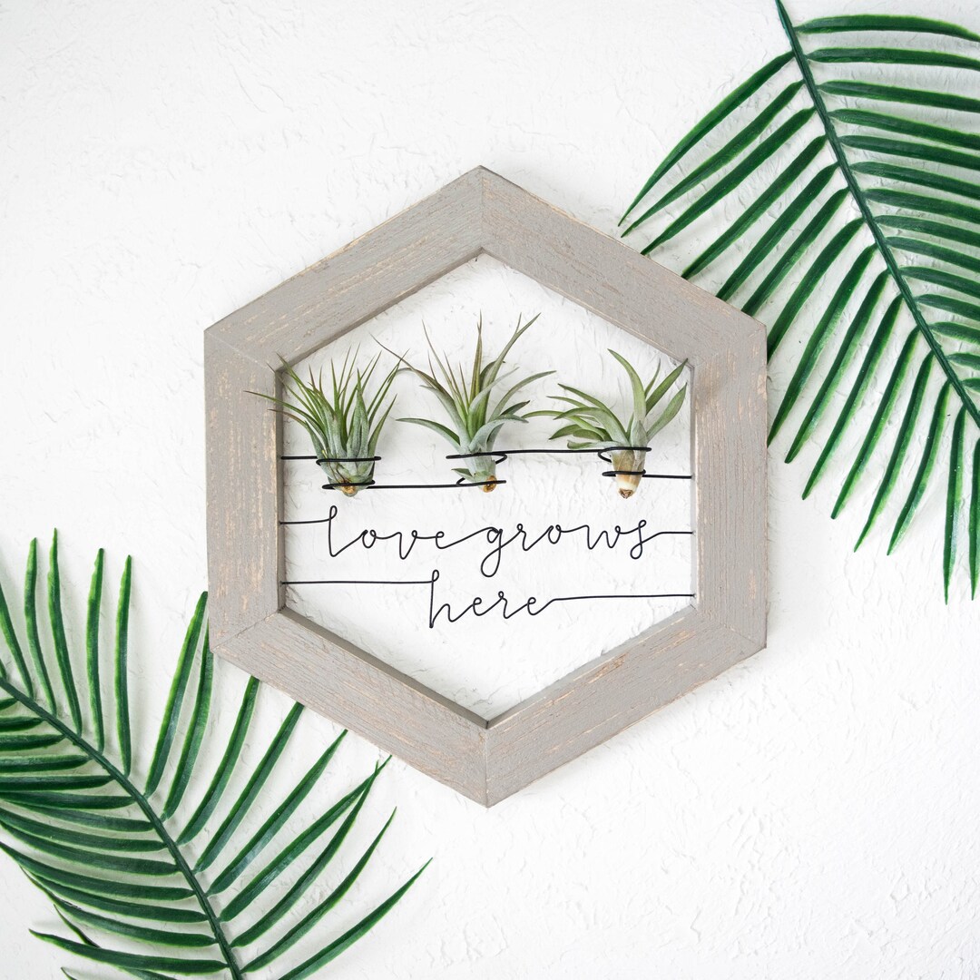 Air Plant Holder Love Grows Here Sign Industrial Farmhouse Wall Decor