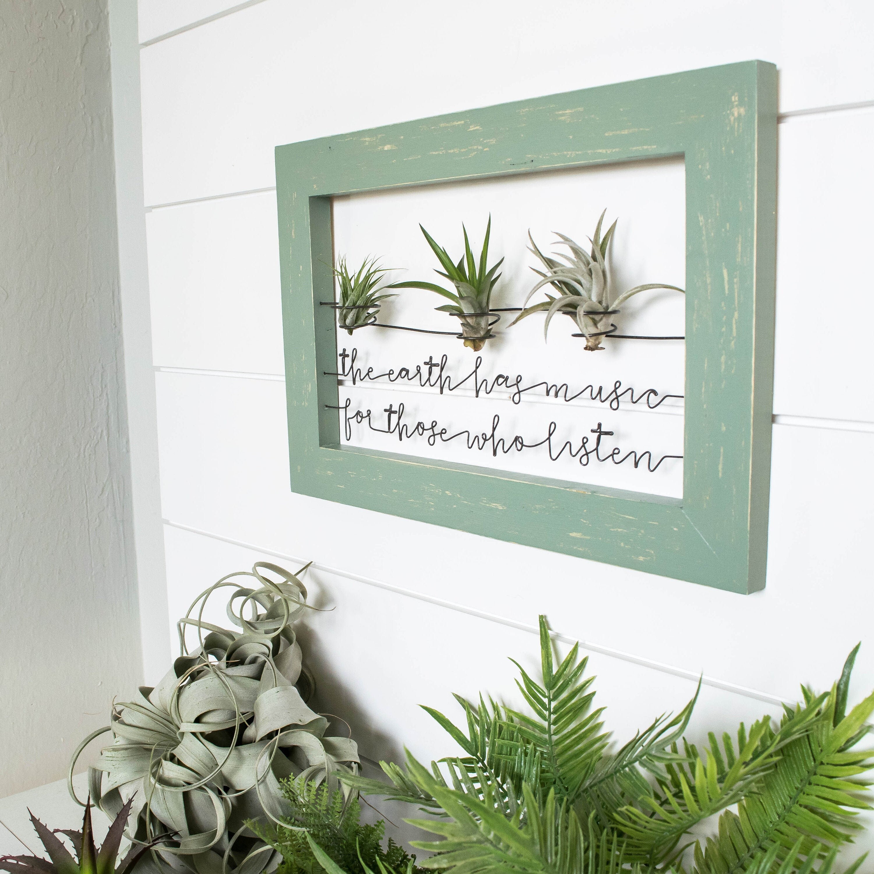 Live Plant Wall Art Framed Wood Signs Succulent Art Wire Etsy