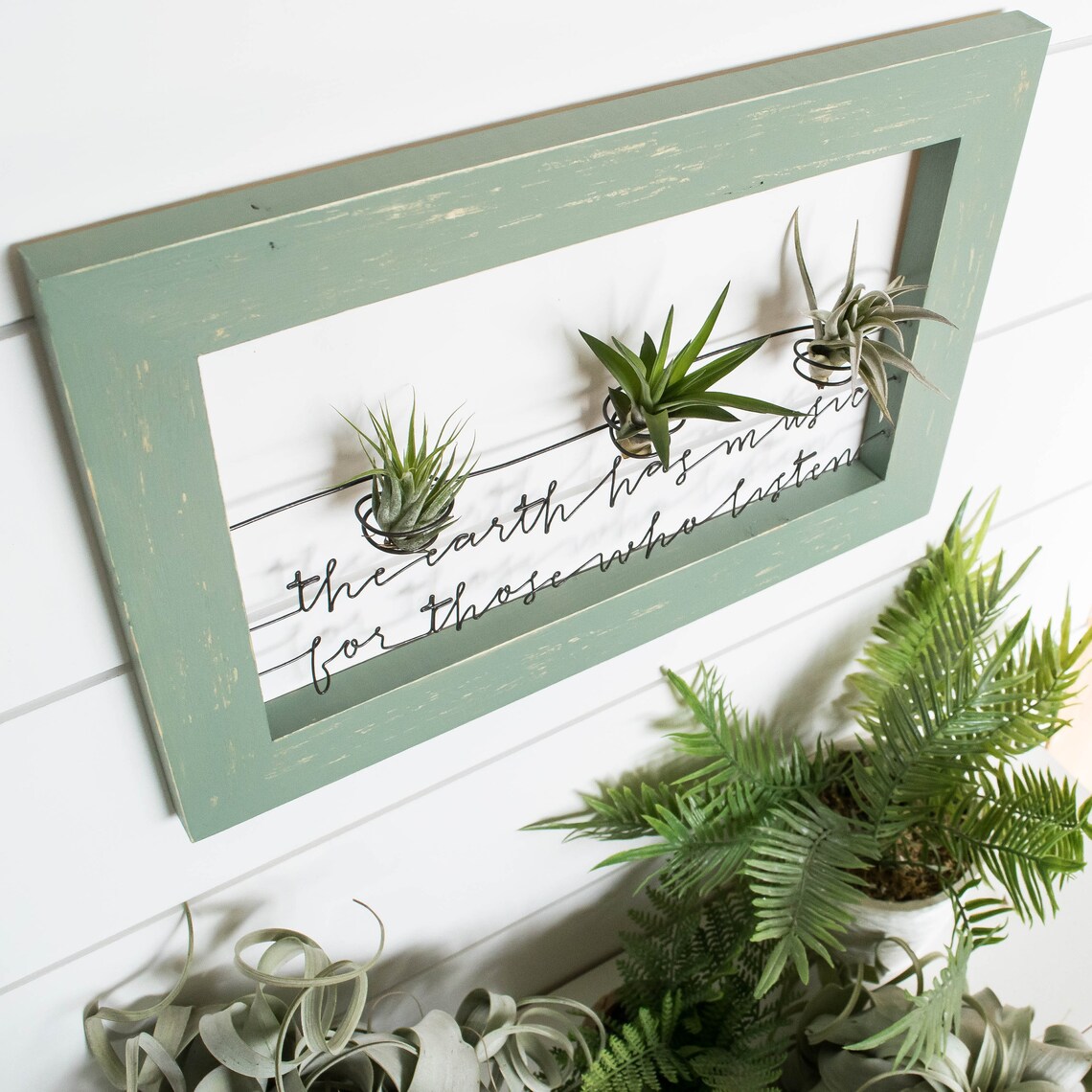Live Plant Wall Art Framed Wood Signs Succulent Art Wire Etsy