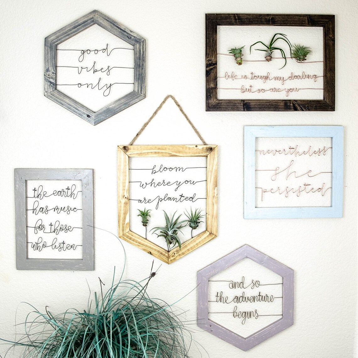 Live Plant Wall Art Framed Wood Signs Succulent Art Wire Etsy
