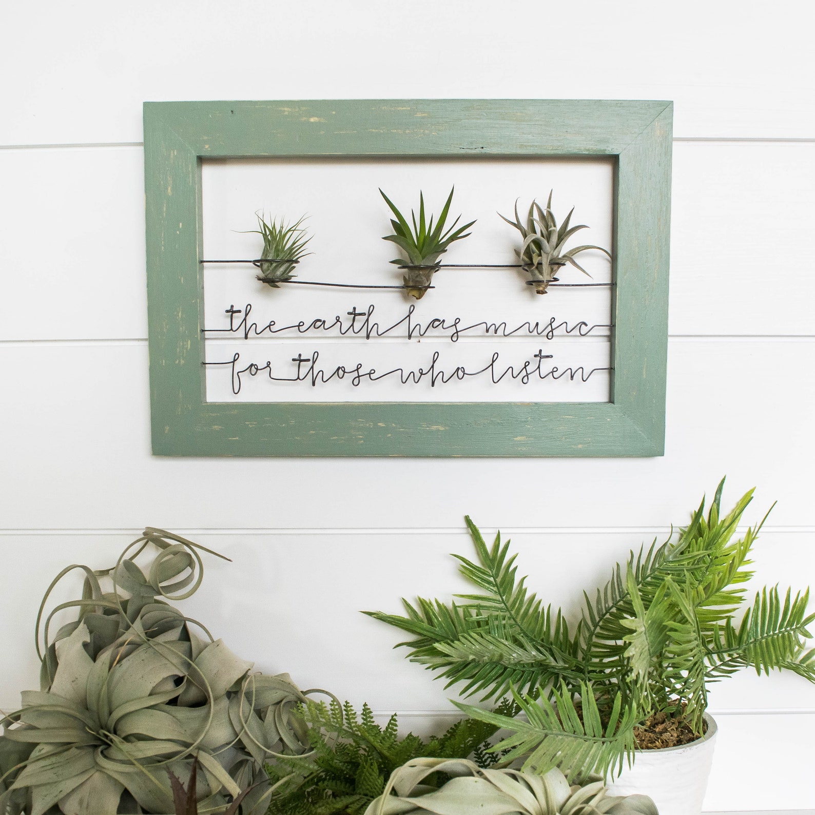 Live Plant Wall Art Framed Wood Signs Succulent Art Wire Etsy