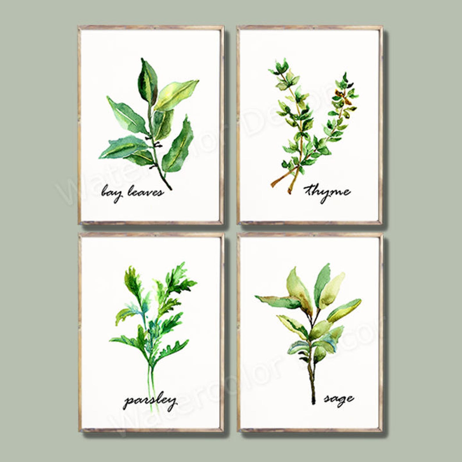 Herb Watercolor Art Prints Set of 4 Botanical Prints B Etsy