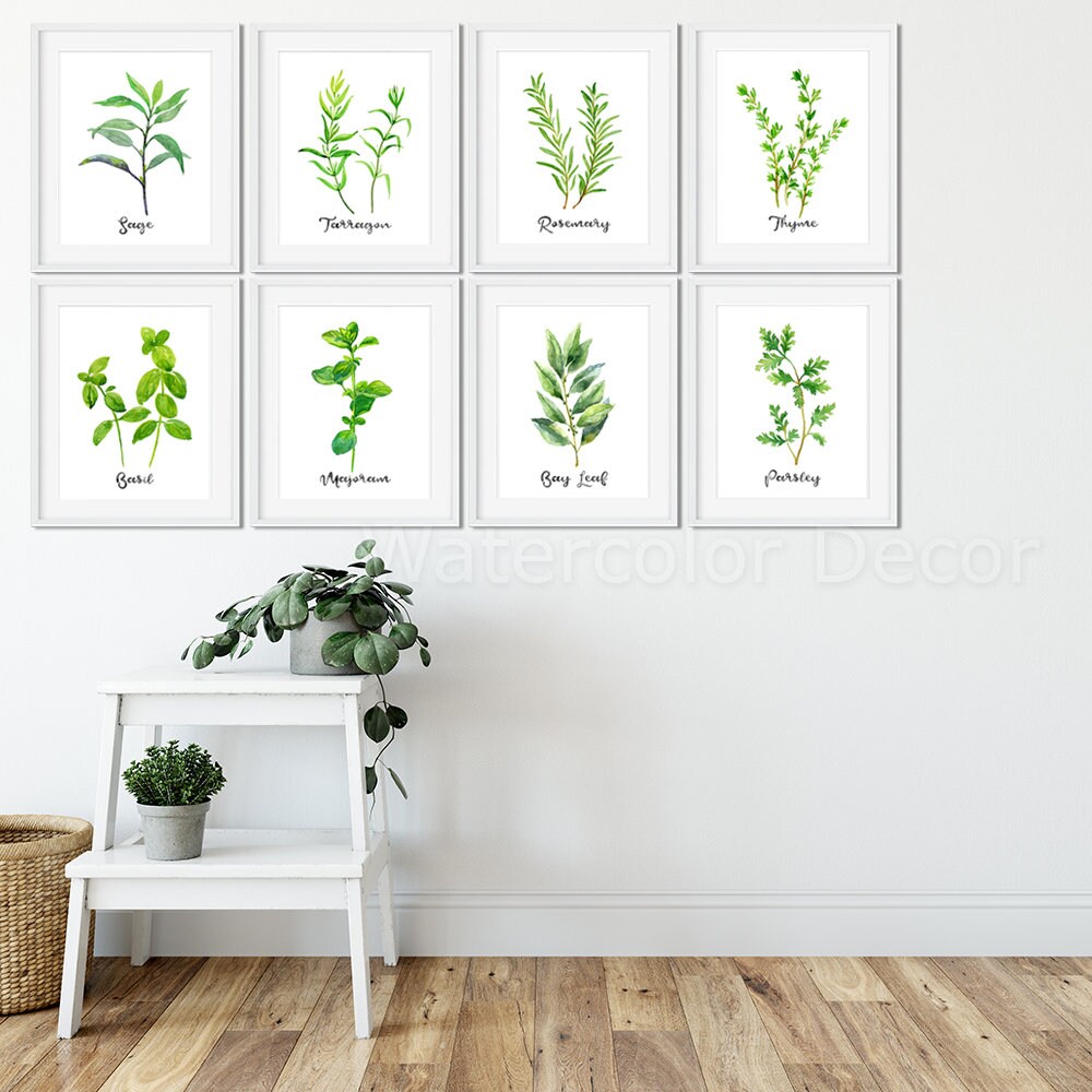Herb Watercolor Art Prints Set of 2 3 45 6 Herb Art Etsy