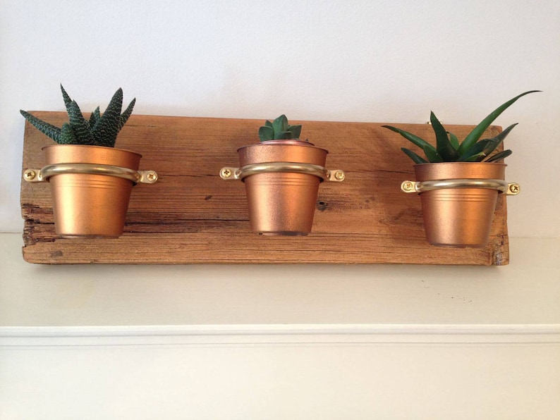 Plant Pot Holder Miniature Triple Wall hanging planter Wall Etsy