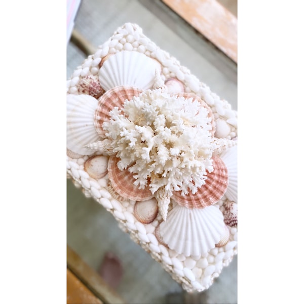 Seashell Jewelry Box Etsy