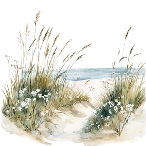 18 duinen gras landschap clipart l kust wilde bloemen l JPG digitale download l afdrukbare aquarel clipart l junk Journal l Paper Craft