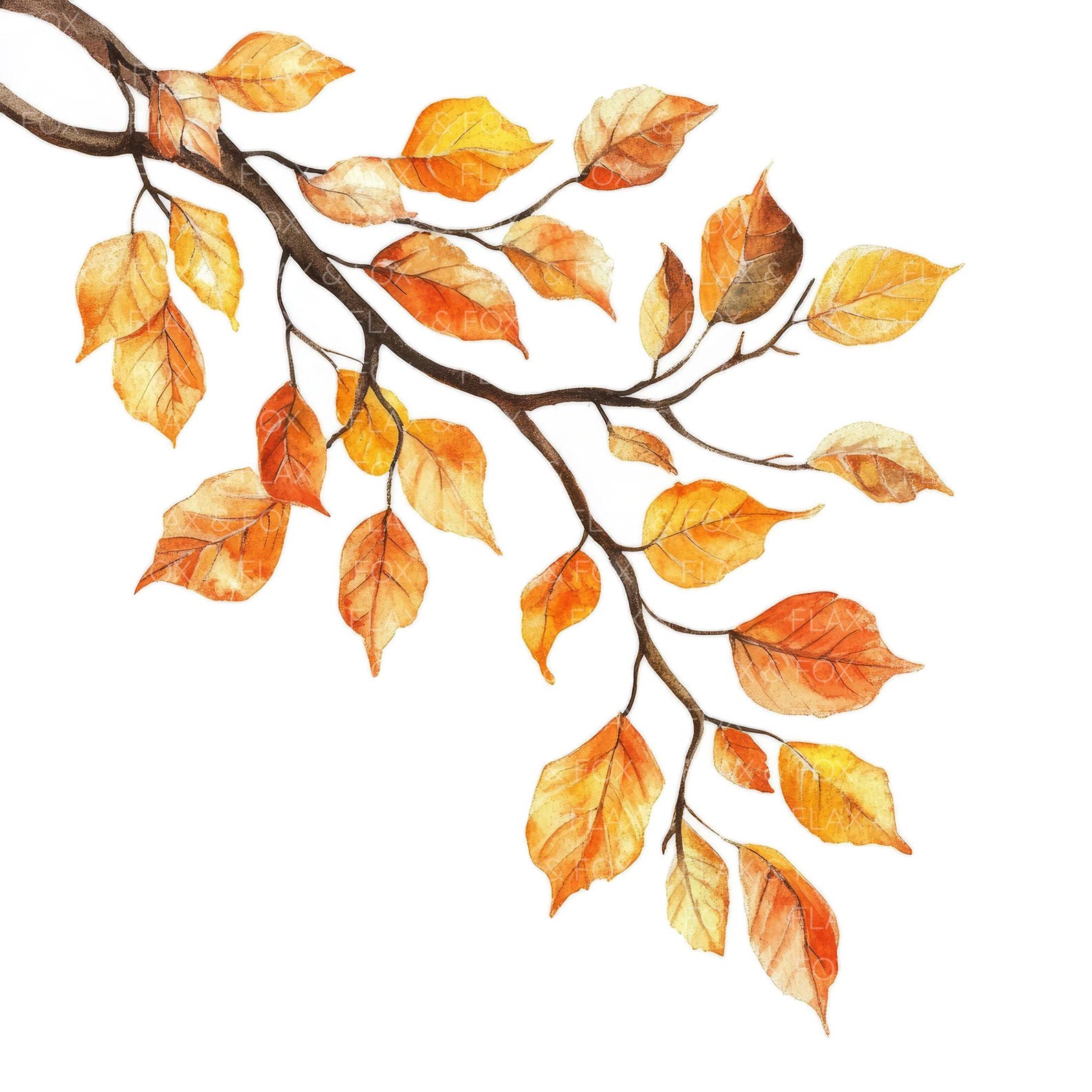 10 Falling Autumn Leaves Clipart L Oak Tree Branch Fall Decor L JPG ...