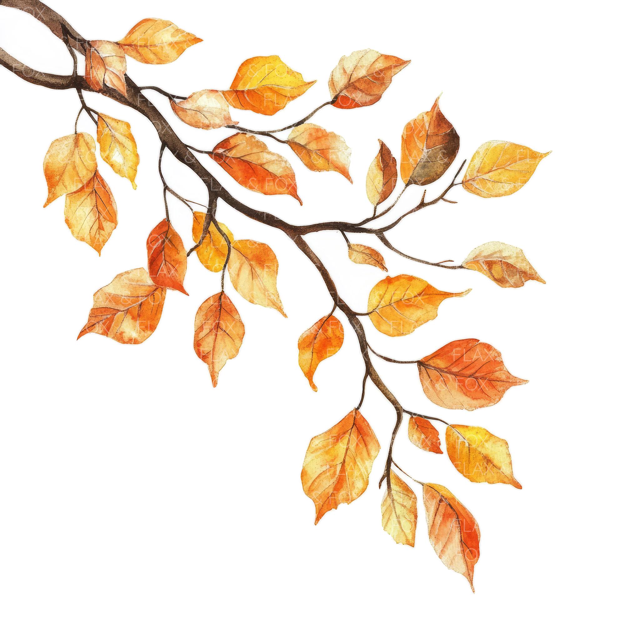 10 Falling Autumn Leaves Clipart L Oak Tree Branch Fall Decor L JPG ...