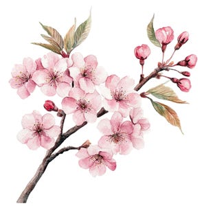 12 Japanese Sakura Branches Clipart l Pink Flowers l JPG Digital Download l Printable Watercolor Clipart l Junk Journal l Paper Craft
