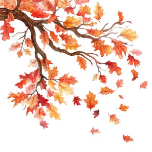 10 Folhas de Outono Caindo Clipart l Ramo de Carvalho Decoração de Outono l Download Digital JPG l Clipart de Aquarela para Imprimir