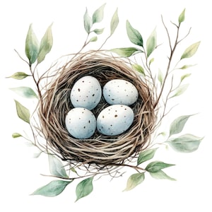21 vogelnest clipart l Aquarel nest met eieren l JPG digitale download l Afdrukbare aquarel clipart l Junk Journal l Paper Craft
