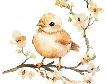 12 ひよこの鳥のクリップアート l 木の枝に止まる黄色い鳥 l JPG