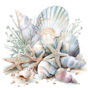 12 imágenes prediseñadas de conchas marinas l Conchas marinas de coral l Descarga digital en formato JPG l Imágenes prediseñadas de acuarela imprimibles l Diario basura l Manualidades de papel