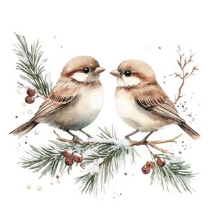 10 clipart de pássaros de inverno l decoração de cartão de natal com dois pássaros l download digital em JPG l clipart de aquarela para impressão l diário de lixo l artesanato em papel