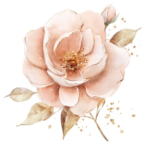 10 Clipart di rose astratte l Rosa Blush Acquerello Lamina d'oro Floreale l JPG Download digitale l Clipart acquerello stampabile