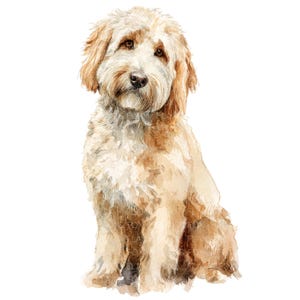 18 Klipartów z psem Goldendoodle l Pies domowy l Pobieranie cyfrowe JPG l Klipart z akwarelami do druku l Dziennik śmieciowy l Rękodzieło papierowe