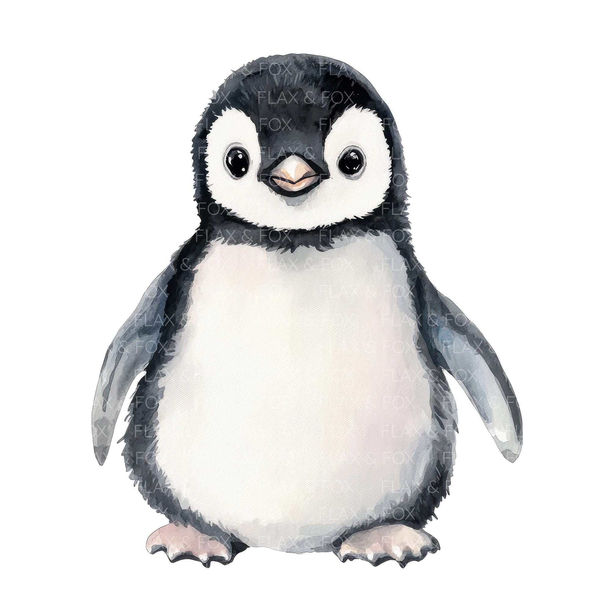 12 かわいい小さなペンギンのクリップアート l 赤ちゃんペンギン l JPG