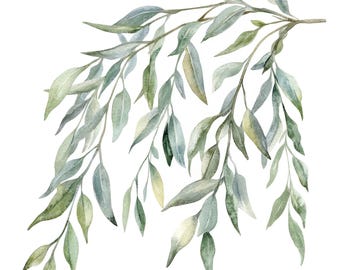 22 Willow Branches Clipart l Greenery Leaves Decor l JPG Digital Download l Printable Watercolor Clipart l Junk Journal l Paper Craft