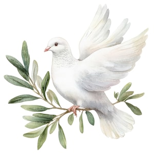 12 witte duif olijftak clipart l vredesduif l JPG digitale download l afdrukbare aquarel clipart l junk Journal l Paper Craft