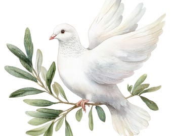 12 White Dove Olive Branch Clipart l Peace Dove l JPG Digital Download l Printable Watercolor Clipart l Junk Journal l Paper Craft