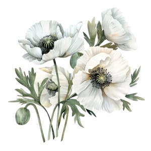 10 anémones blanches Clipart l Fleurs de pavot l Téléchargement numérique JPG l Clipart aquarelle imprimable l Journal indésirable l Artisanat en papier