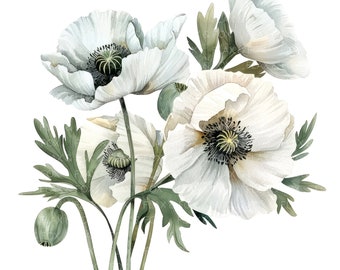 10 White Anemones Clipart l Poppy Flowers l JPG Digital Download l Printable Watercolor Clipart l Junk Journal l Paper Craft