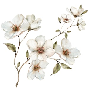 12 Rosas Selvagens Clipart l Flores Brancas l Download Digital JPG l Clipart de Aquarela para Imprimir l Diário de Lixo l Artesanato em Papel