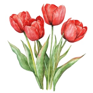 17 rode tulpen clipart l Lentebloemen l JPG digitale download l Afdrukbare aquarel clipart l Junk Journal l Paper Craft