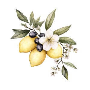 15 Limão com Azeitonas Clipart l Frutas Flores Folhas l Download Digital JPG l Clipart de Aquarela para Imprimir l Diário de Lixo l Artesanato em Papel