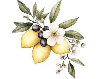15 citroen met olijven Clipart l Fruit bloemen bladeren l JPG digitale download l Afdrukbare aquarel clipart l Junk Journal l Paper Craft